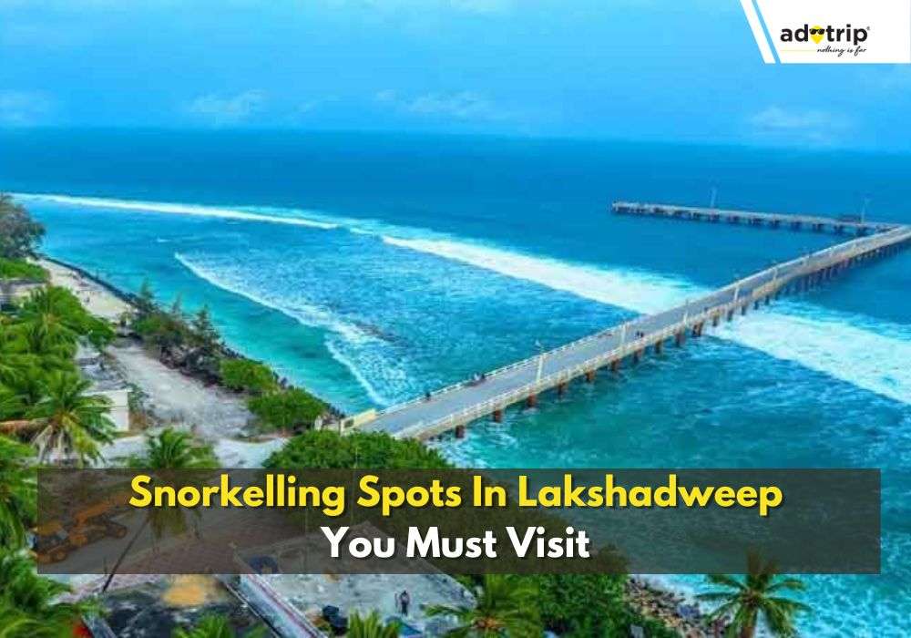 Snorkelling In Lakshadweep